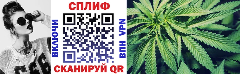 Виды наркотиков купить Дальнереченск Канабис  COCAIN  Меф 