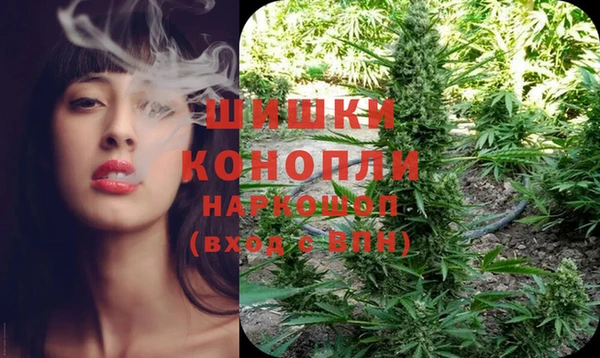 круглые Бородино